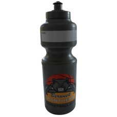 Sports drink bottle